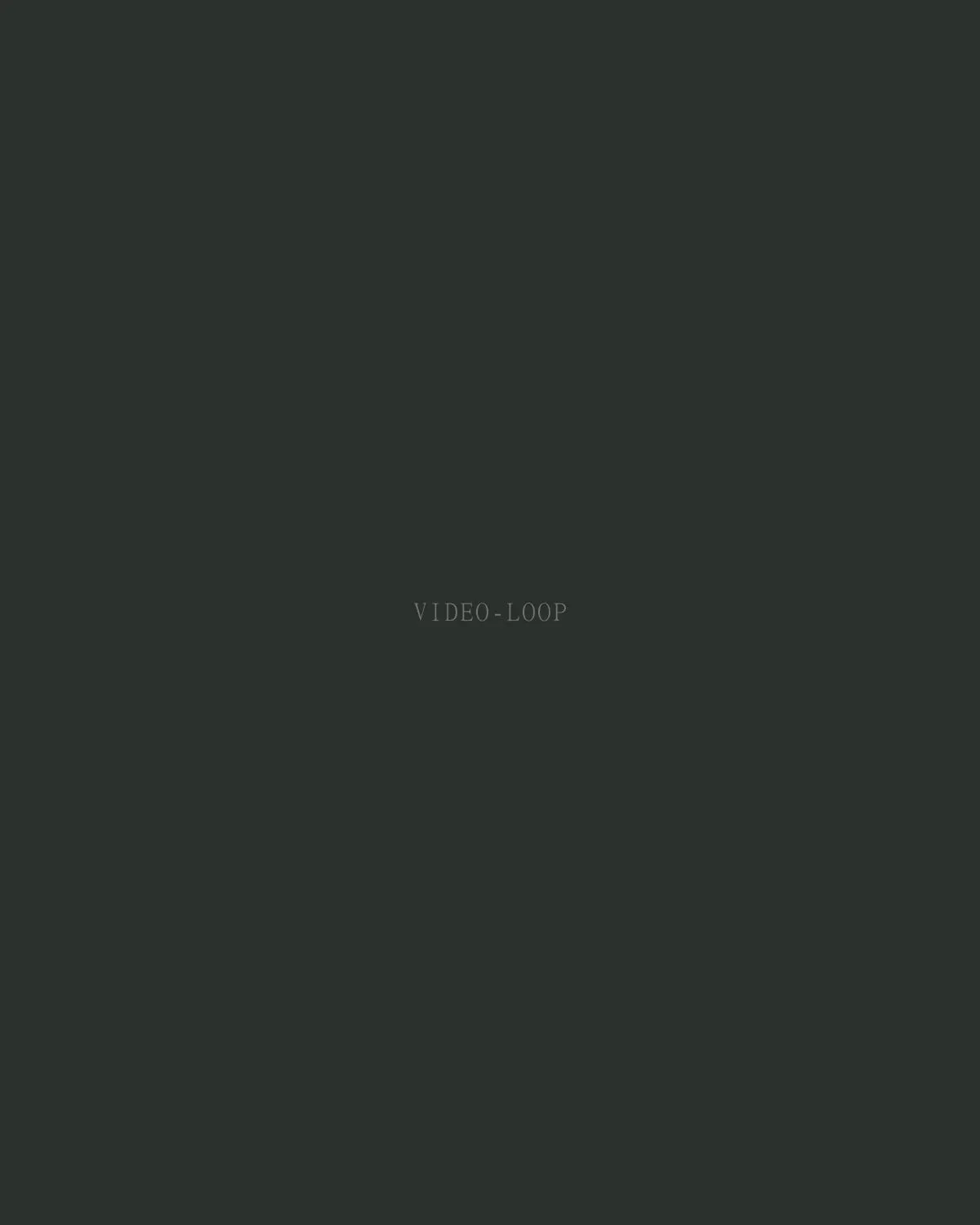[placeholder] Video-loop